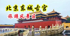 操逼靠逼视频链接一级黄色中国北京-东城古宫旅游风景区